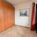 Haus 